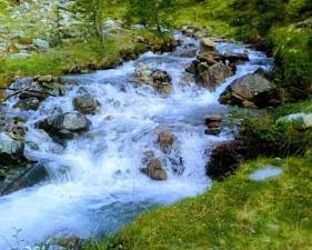 wildbach_1